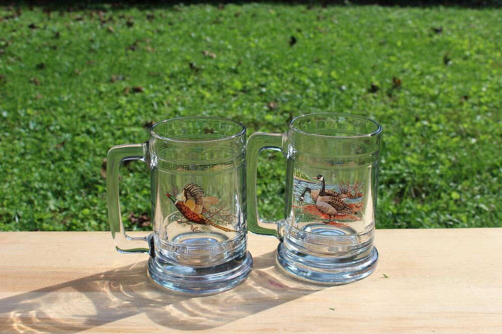 Princess House Beer Steins Mid-Century Glass Silver Band Pheasant Geese Set 2